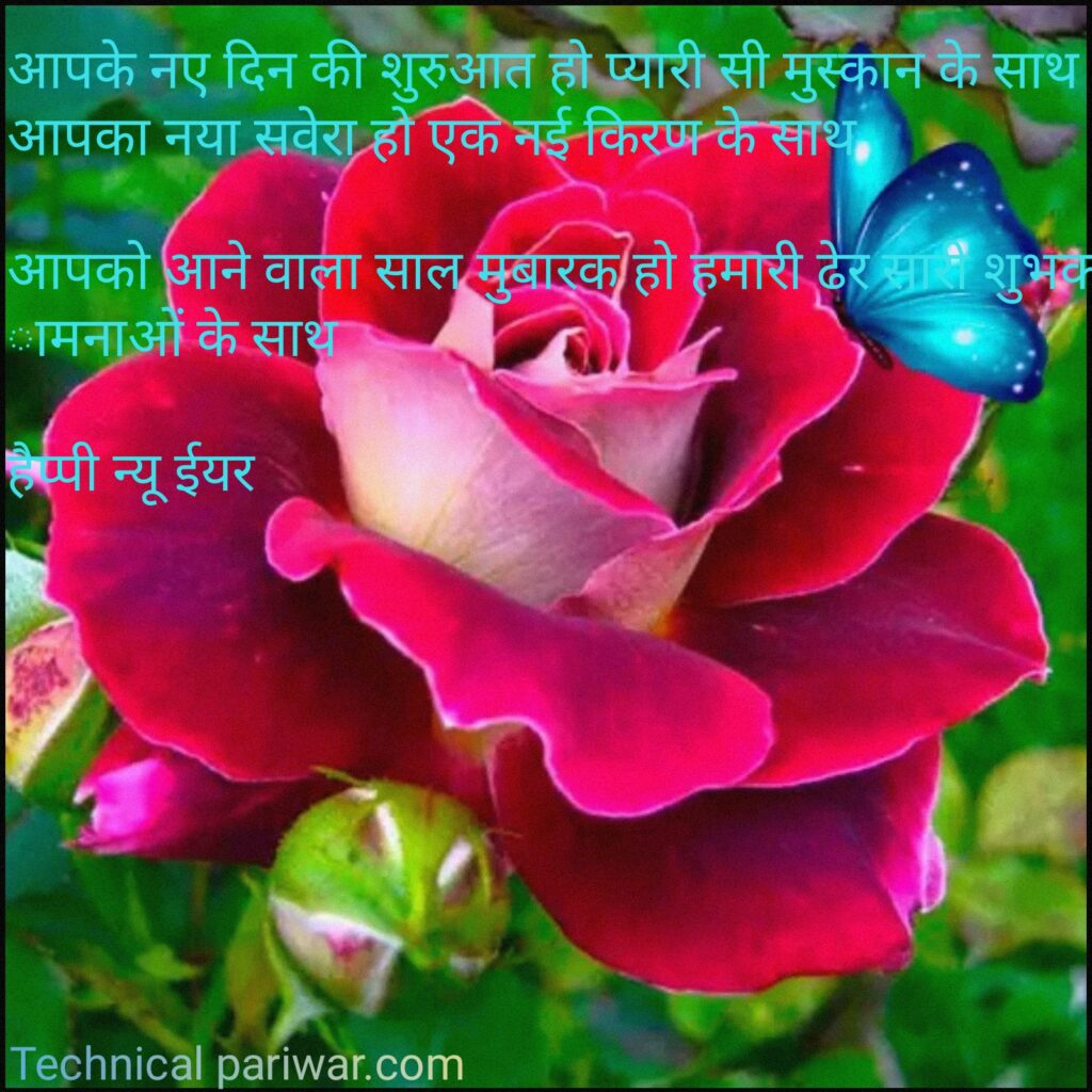 Happy new year wishes and Quotes in hindi